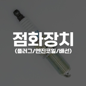 점화장치(플러그/엔진코일)
